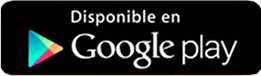 Google Store